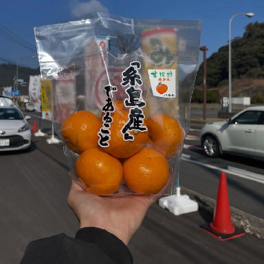 やさい・くだものハウス しげやす