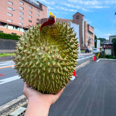 やさい・くだものハウス しげやす