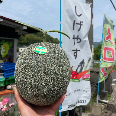 やさい・くだものハウス しげやす