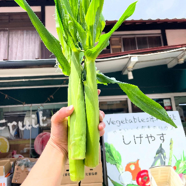 やさい・くだものハウス しげやす