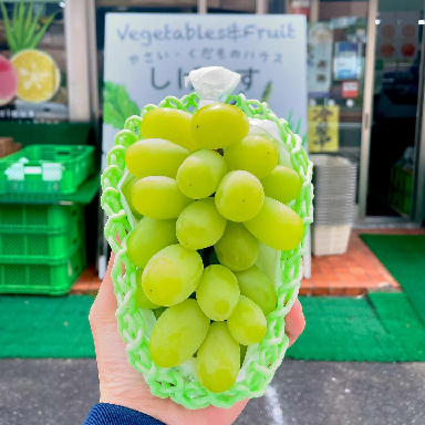 やさい・くだものハウス しげやす