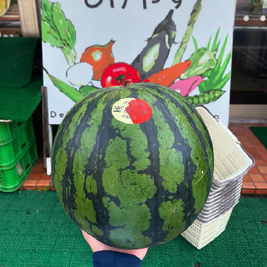 やさい・くだものハウス しげやす