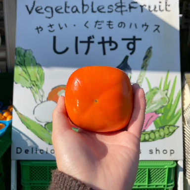 やさい・くだものハウス しげやす