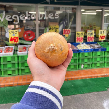 やさい・くだものハウス しげやす