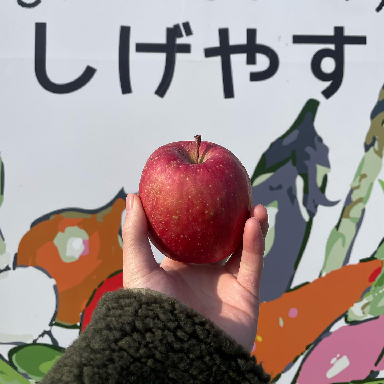 やさい・くだものハウス しげやす