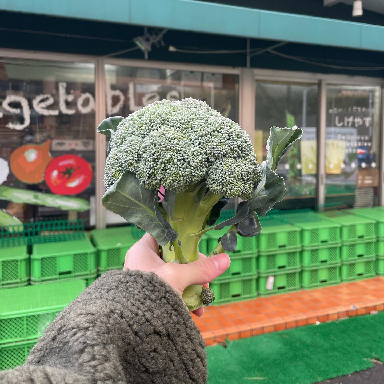 やさい・くだものハウス しげやす