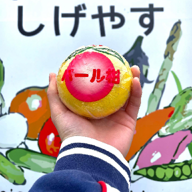 やさい・くだものハウス しげやす