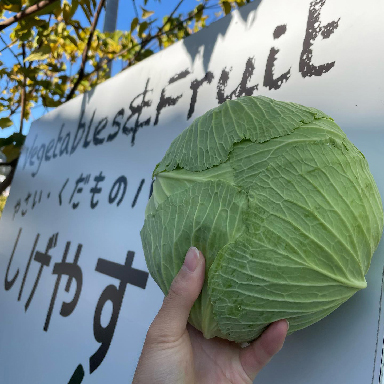やさい・くだものハウス しげやす